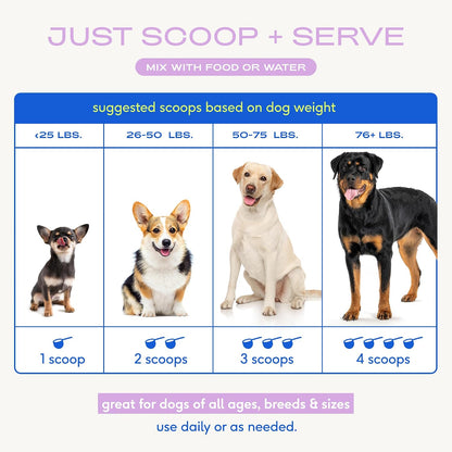 Goat Milk Powder - Dog Food Topper for Active Dogs - Post-Activity Recovery, Energy, Immune Support, Hydration & Bone Health - Whole Goat Milk with Mcts & Essential Minerals - 120 Scoops
